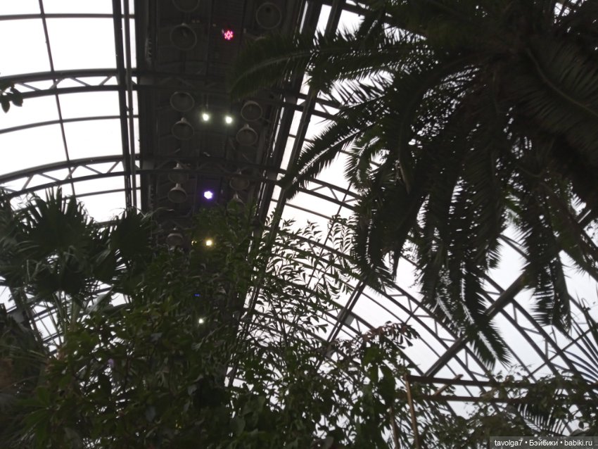 "Мы ранены так, что, кажется, обречены"