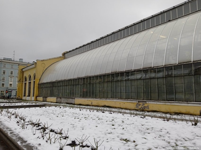 "Мы ранены так, что, кажется, обречены" (фото 4)