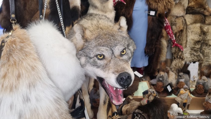 Выставка "Ладья". Продолжение