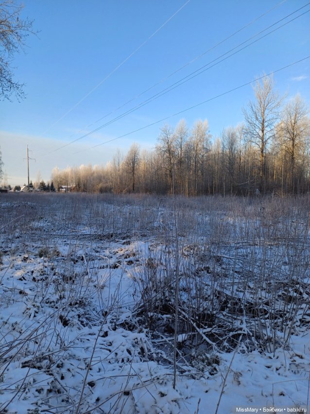 Зимняя сказка — Красивая природа и цветы: фото пейзажей (фото 4)