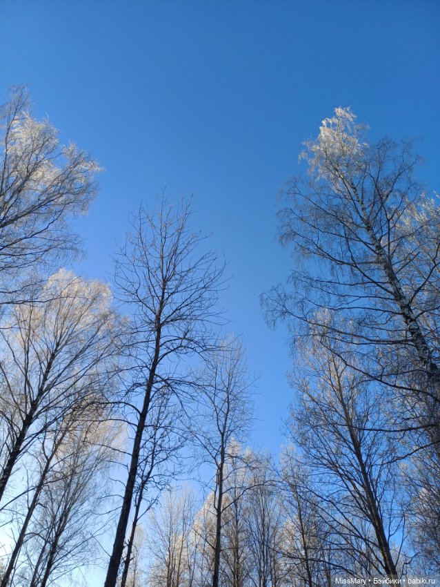 Зимняя сказка — Красивая природа и цветы: фото пейзажей (фото 5)