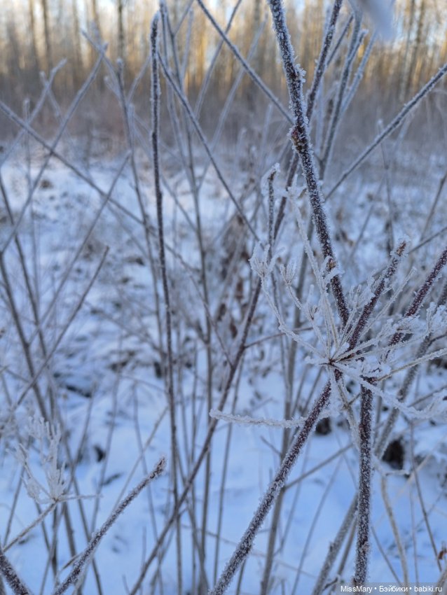 Зимняя сказка — Красивая природа и цветы: фото пейзажей