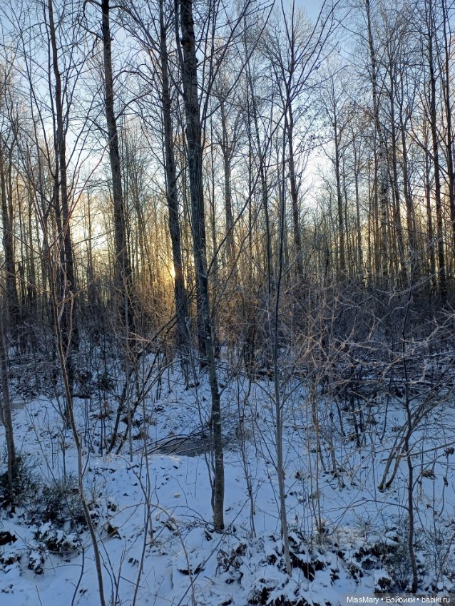 Зимняя сказка — Красивая природа и цветы: фото пейзажей