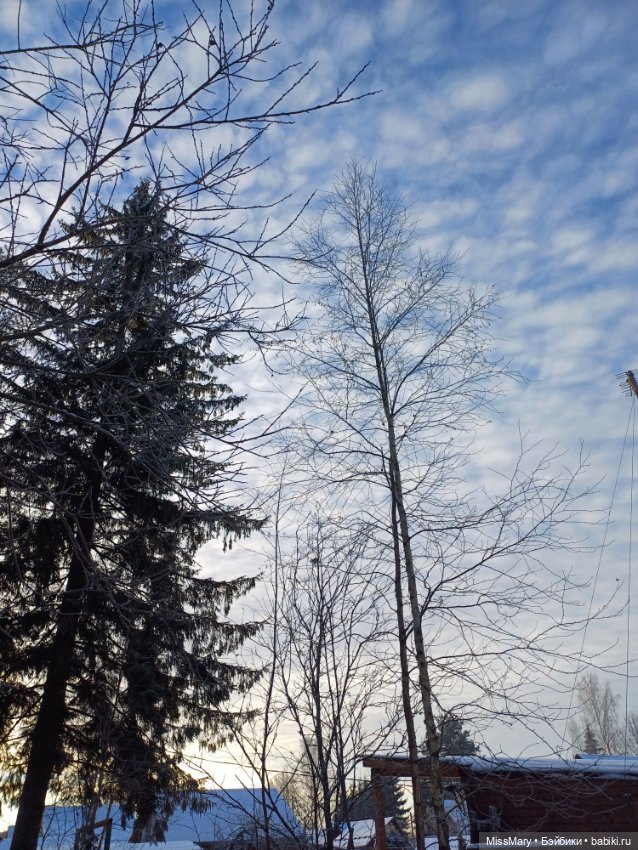 Зимняя сказка — Красивая природа и цветы: фото пейзажей