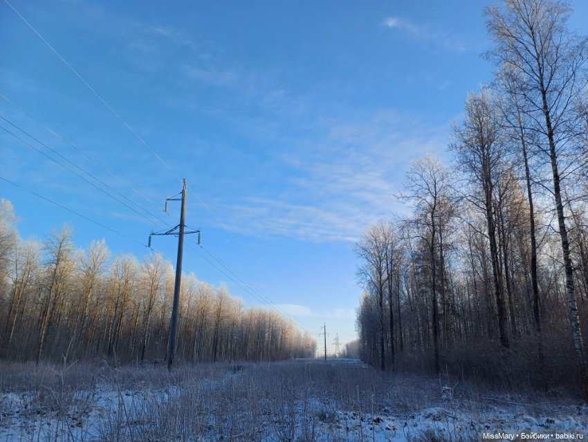 Зимняя сказка — Красивая природа и цветы: фото пейзажей (фото 3)