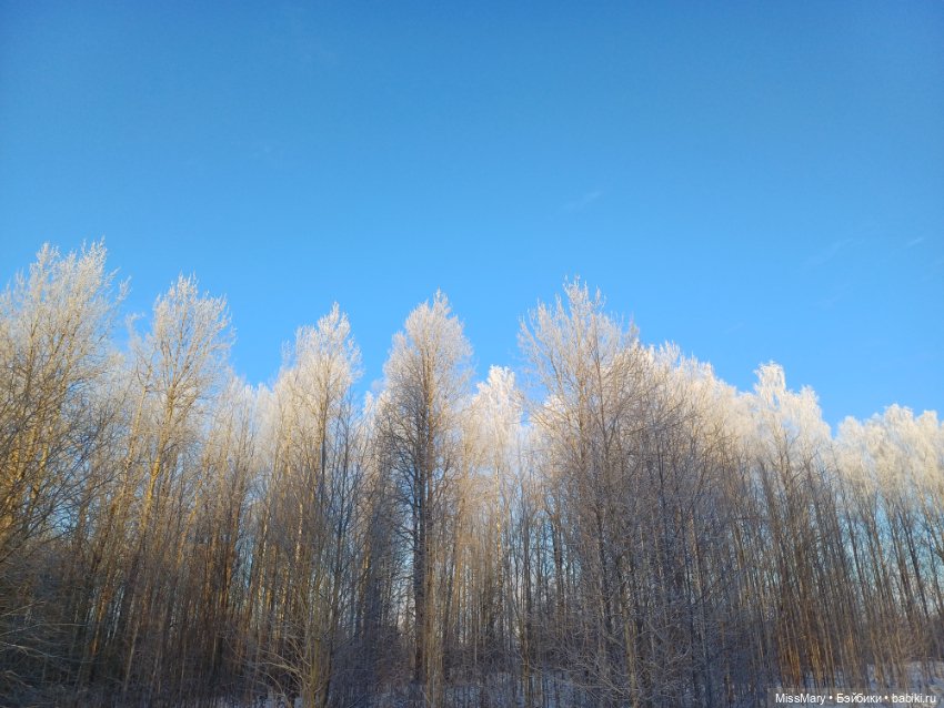 Зимняя сказка — Красивая природа и цветы: фото пейзажей