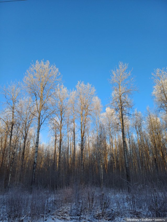 Зимняя сказка — Красивая природа и цветы: фото пейзажей