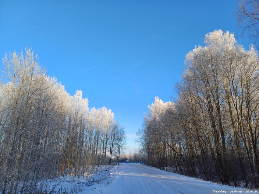 Зимняя сказка — Красивая природа и цветы: фото пейзажей (фото 7)