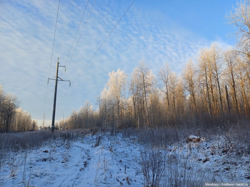 Зимняя сказка — Красивая природа и цветы: фото пейзажей