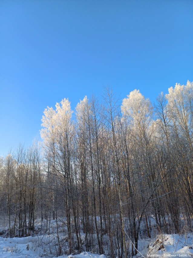 Зимняя сказка — Красивая природа и цветы: фото пейзажей (фото 10)