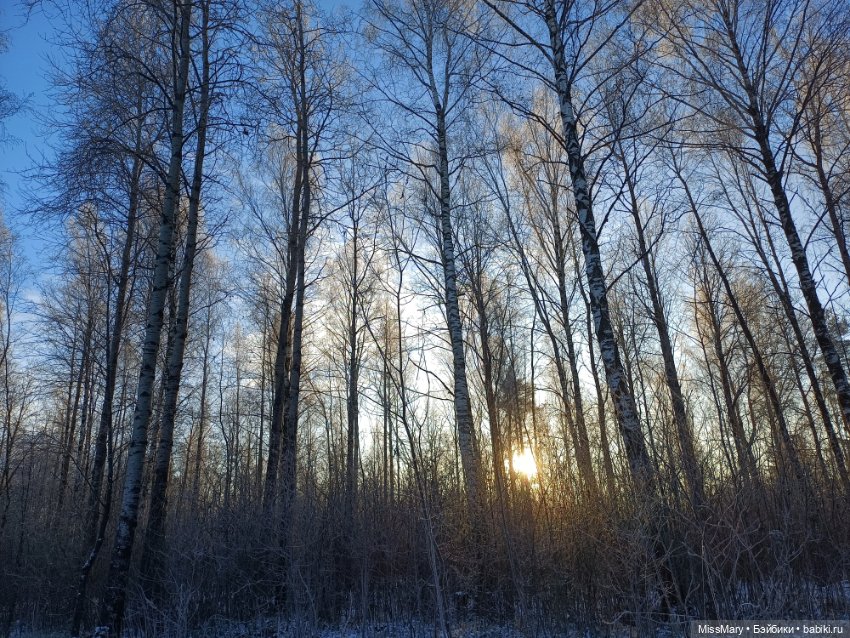 Зимняя сказка — Красивая природа и цветы: фото пейзажей (фото 2)