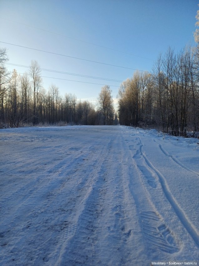 Зимняя сказка — Красивая природа и цветы: фото пейзажей