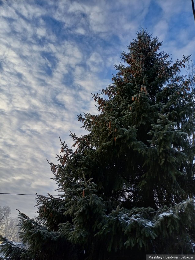 Зимняя сказка — Красивая природа и цветы: фото пейзажей