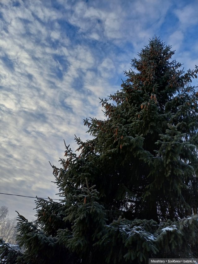 Зимняя сказка — Красивая природа и цветы: фото пейзажей