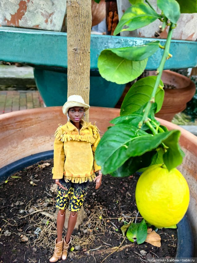 Мои друзья-10 — Кукольные фотоистории и сериалы: комиксы (фото 2)