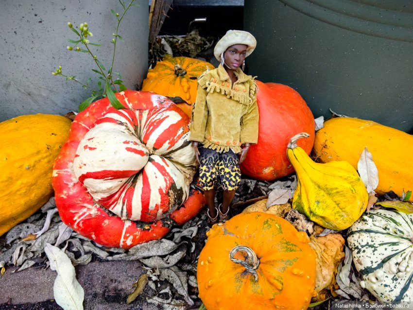 Мои друзья-10 — Кукольные фотоистории и сериалы: комиксы (фото 9)