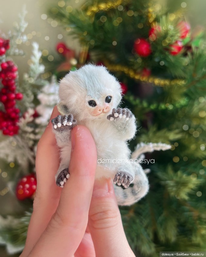 Миниатюрная обезьянка игрунка Орлуша