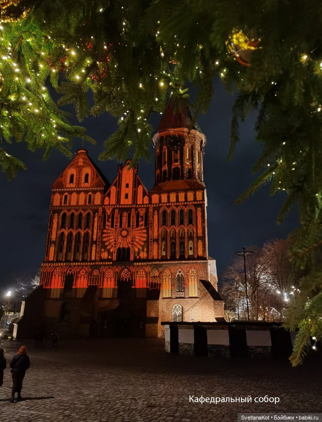 Рубрика "Мобильные истории". Уличный музыкант (фото 9)