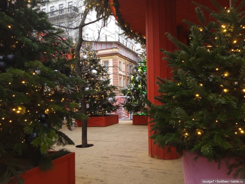 Йоль 2025 — Туризм и путешествия: фотоотчеты из поездок