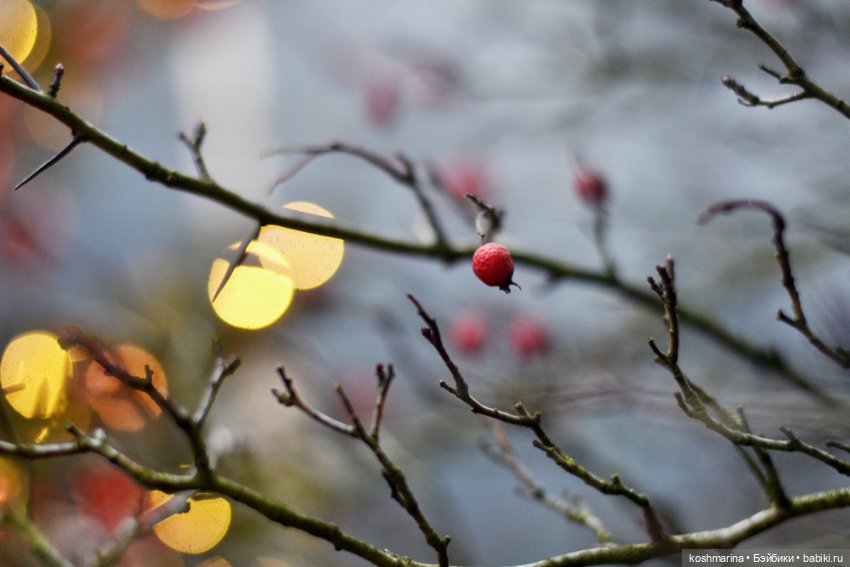 Территория Нового года — Авторские куклы BJD (БЖД) у нас дома: фото