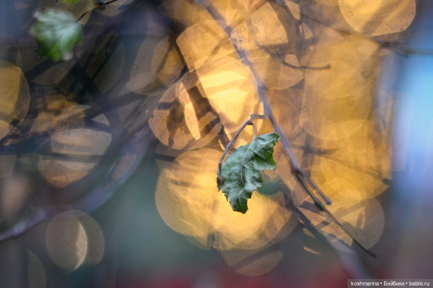 Территория Нового года — Авторские куклы BJD (БЖД) у нас дома: фото