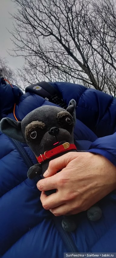 Чихуахуа Маффин — Реставрация и преображение кукол: ремонт (фото 10)