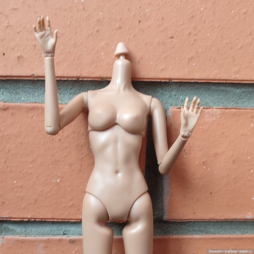 Обзор тел псевдо менгф (нормал и лайт Браун) (фото 10)