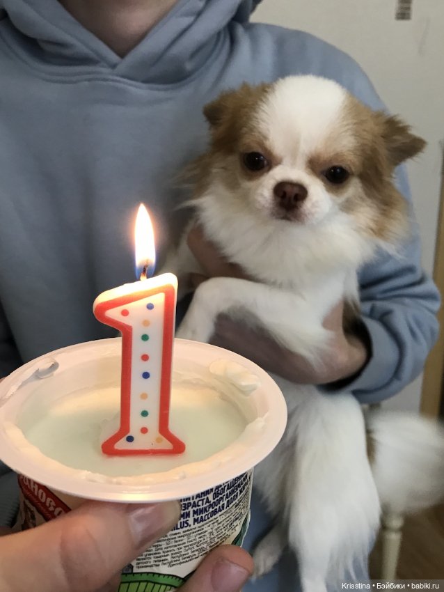 Любимый Сэм ♥️ — Болталка и разговоры обо всем: жизнь