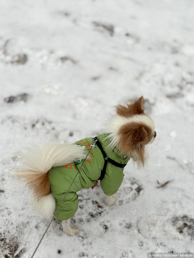 Любимый Сэм ♥️ — Болталка и разговоры обо всем: жизнь