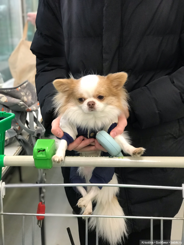 Любимый Сэм ♥️ — Болталка и разговоры обо всем: жизнь