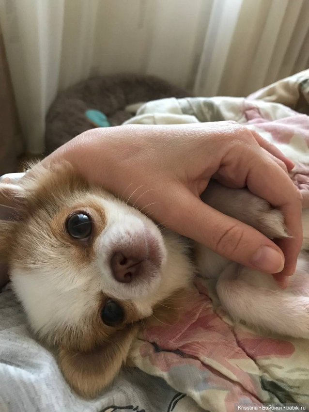 Любимый Сэм ♥️ — Болталка и разговоры обо всем: жизнь