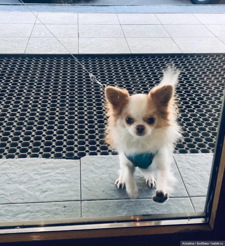 Любимый Сэм ♥️ — Болталка и разговоры обо всем: жизнь