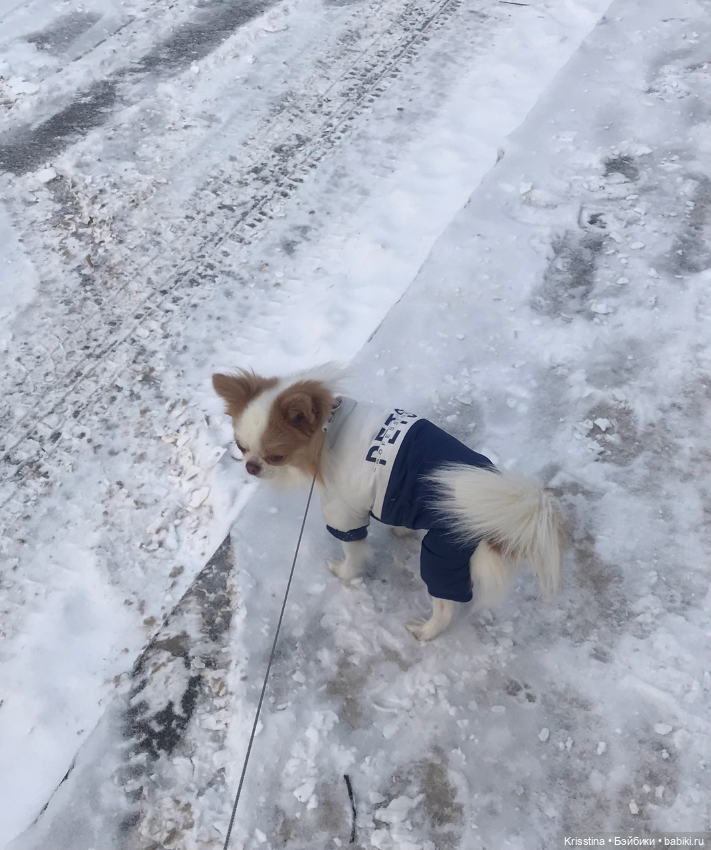 Любимый Сэм ♥️ — Болталка и разговоры обо всем: жизнь