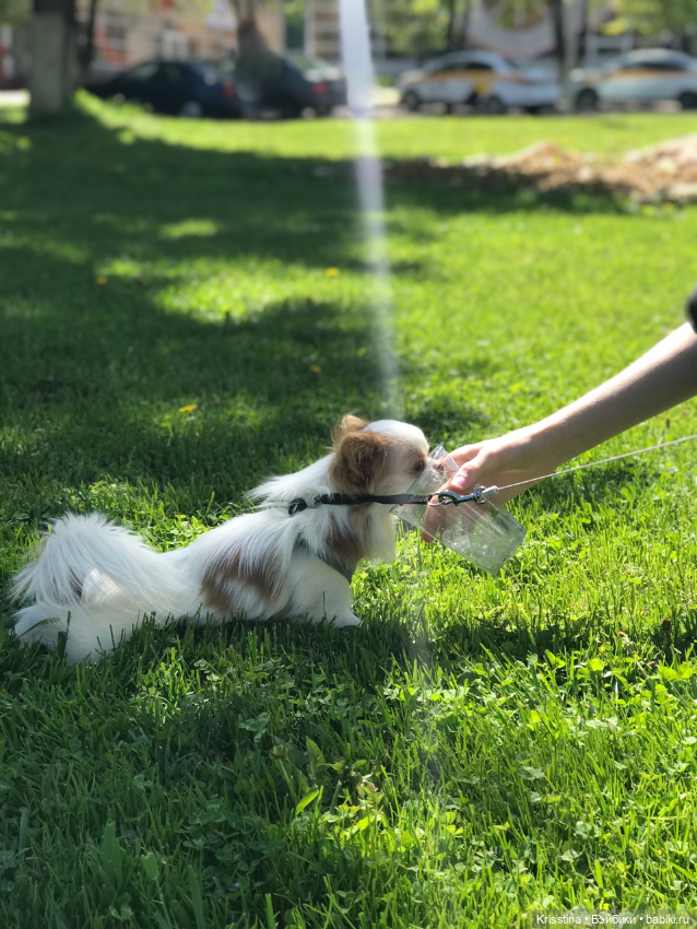 Любимый Сэм ♥️ — Болталка и разговоры обо всем: жизнь