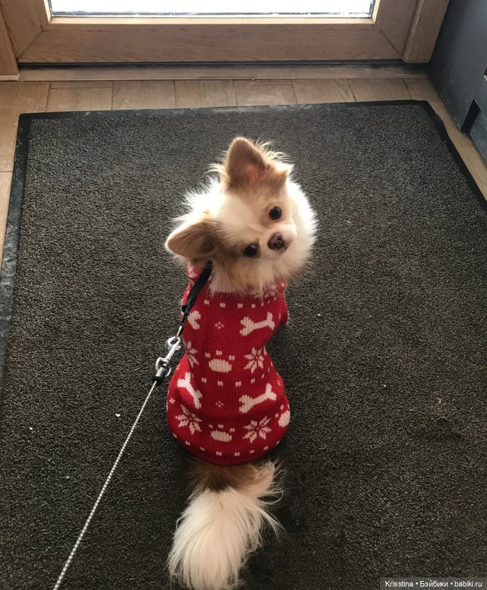 Любимый Сэм ♥️ — Болталка и разговоры обо всем: жизнь