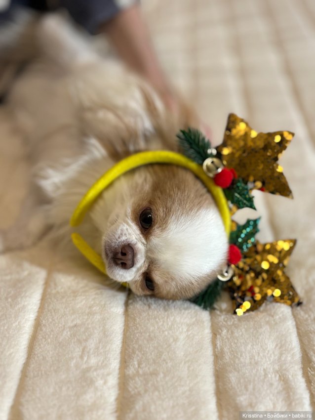 Любимый Сэм ♥️ — Болталка и разговоры обо всем: жизнь