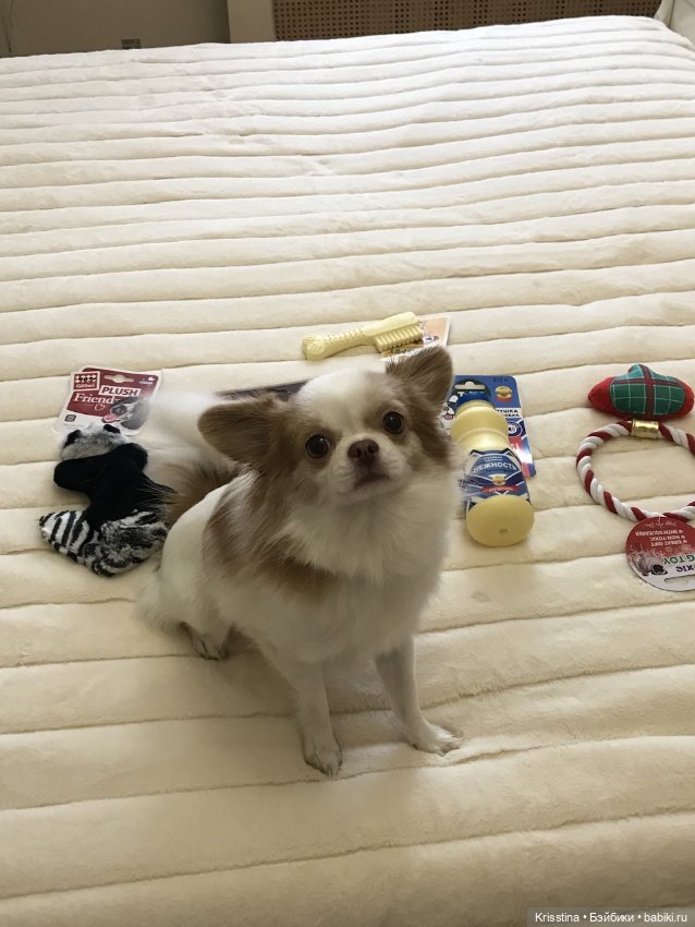 Любимый Сэм ♥️ — Болталка и разговоры обо всем: жизнь