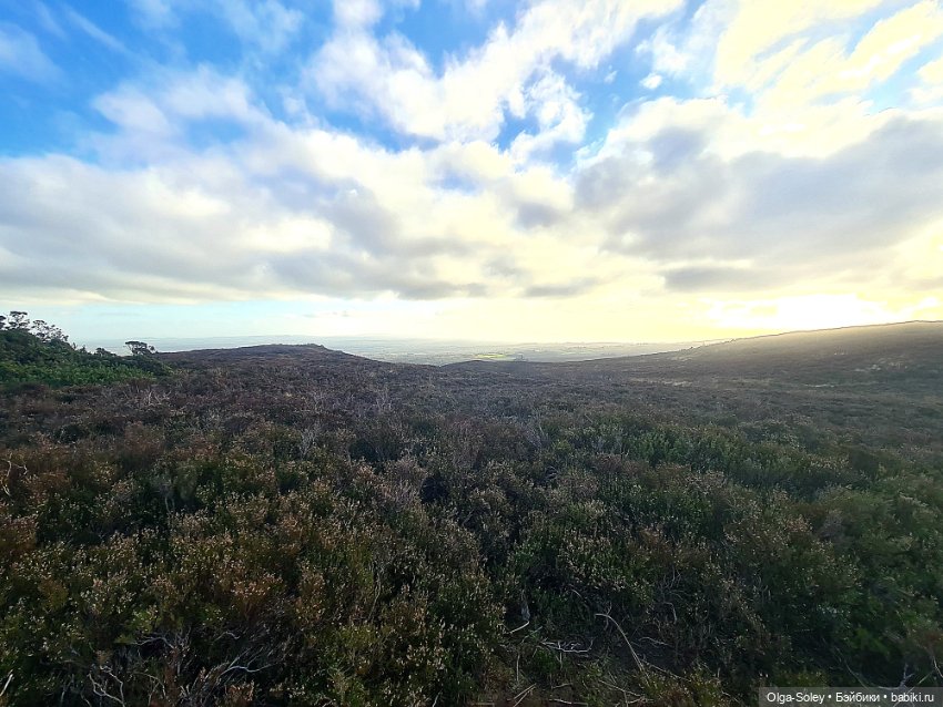 Бу в "отпуске" — Куклы Xiaomi Monst (Сяоми) и Pipitom: шарнирные