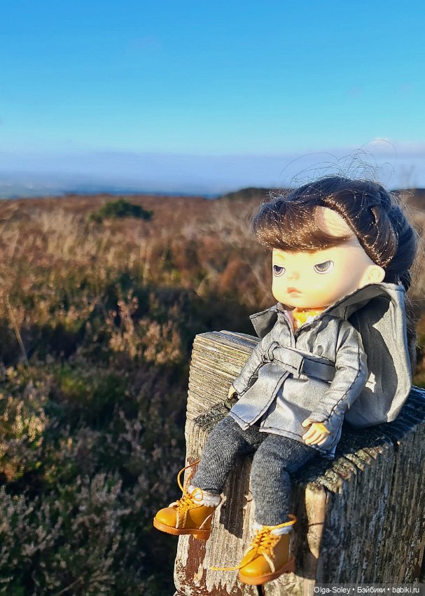 Бу в "отпуске" — Куклы Xiaomi Monst (Сяоми) и Pipitom: шарнирные