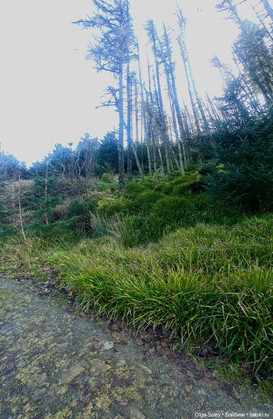 Бу в "отпуске" — Куклы Xiaomi Monst (Сяоми) и Pipitom: шарнирные