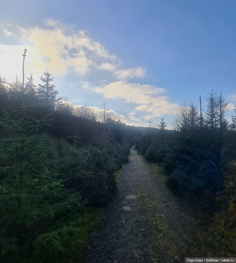 Бу в "отпуске" — Куклы Xiaomi Monst (Сяоми) и Pipitom: шарнирные