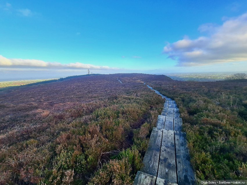 Бу в "отпуске" — Куклы Xiaomi Monst (Сяоми) и Pipitom: шарнирные