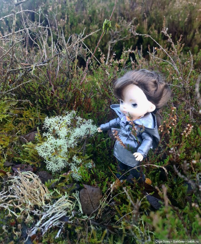 Бу в "отпуске" — Куклы Xiaomi Monst (Сяоми) и Pipitom: шарнирные