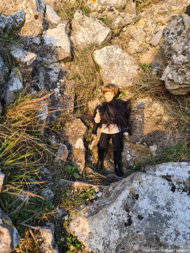 История замка с картинками (фото 9)