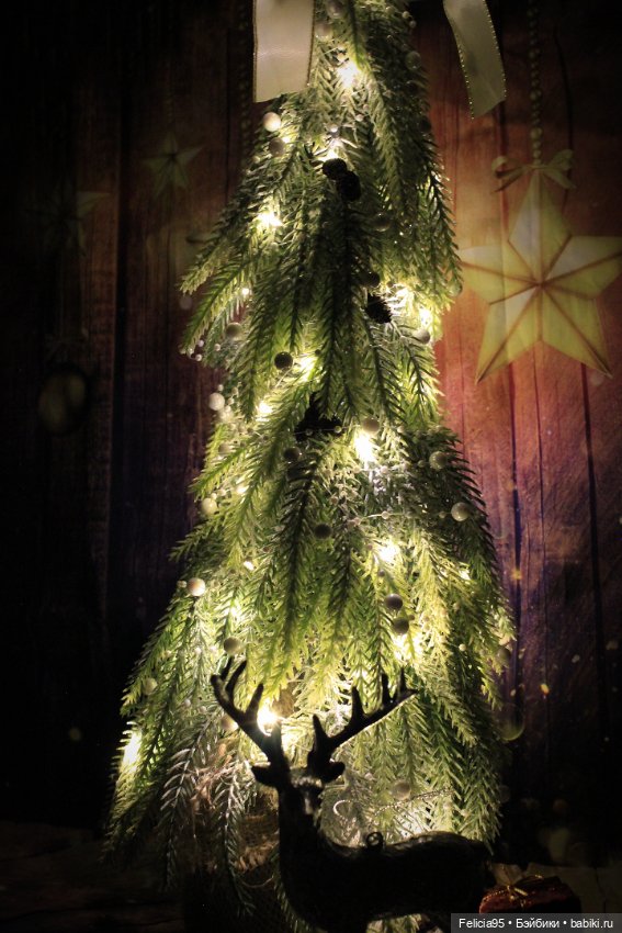 Заключительный аккорд этого года (фото 3)