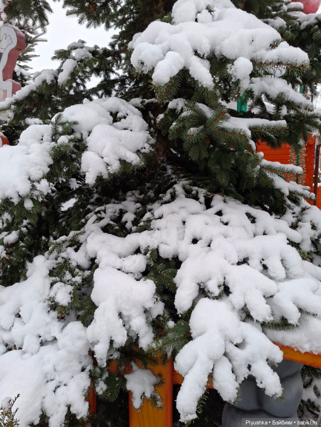 Зимняя сказка — Разные шарнирные куклы (не БЖД): редкие (фото 5)