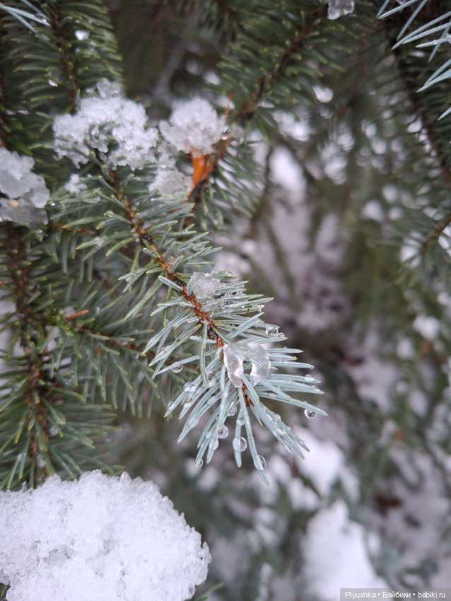Зимняя сказка — Разные шарнирные куклы (не БЖД): редкие