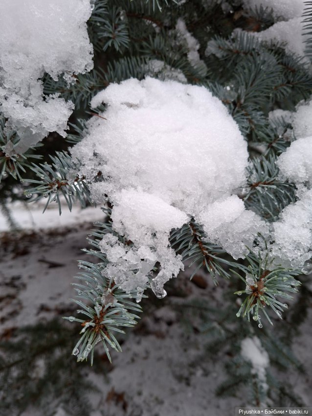 Зимняя сказка — Разные шарнирные куклы (не БЖД): редкие (фото 8)