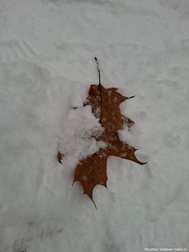 Зимняя сказка — Разные шарнирные куклы (не БЖД): редкие