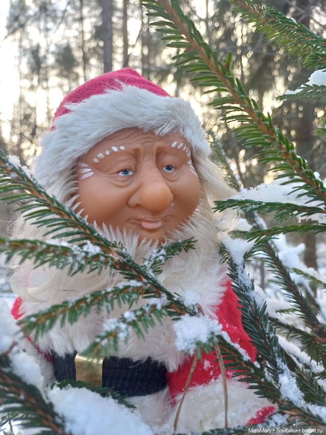 Мороз Иваныч в зимнем лесу 🌲❄️ (фото 5)